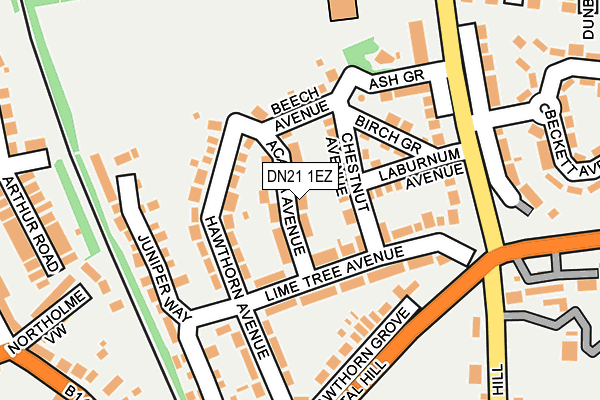 DN21 1EZ map - OS OpenMap – Local (Ordnance Survey)