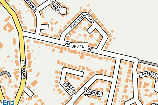 DN3 1DF map - OS OpenMap – Local (Ordnance Survey)