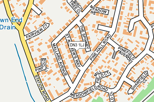DN3 1LJ map - OS OpenMap – Local (Ordnance Survey)