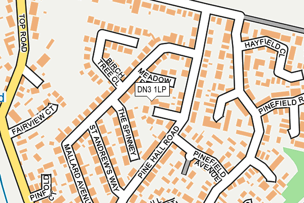 DN3 1LP map - OS OpenMap – Local (Ordnance Survey)