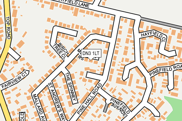 DN3 1LT map - OS OpenMap – Local (Ordnance Survey)