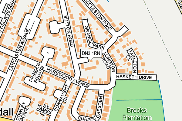 DN3 1RN map - OS OpenMap – Local (Ordnance Survey)