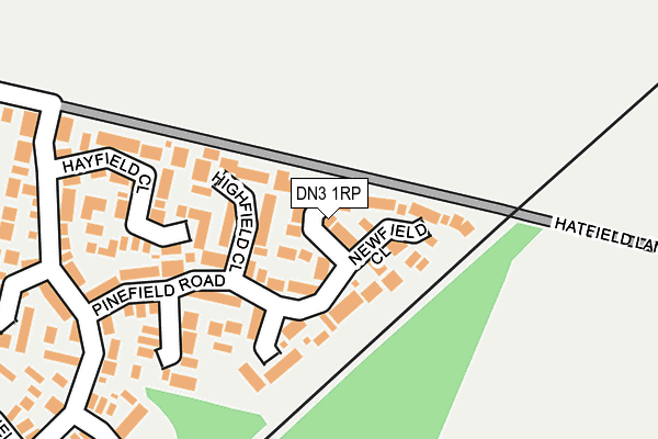 DN3 1RP map - OS OpenMap – Local (Ordnance Survey)