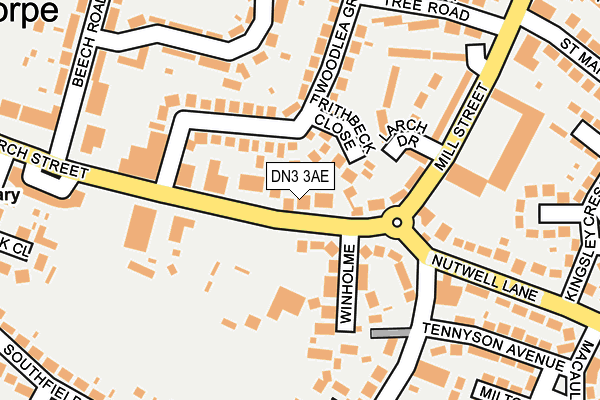 DN3 3AE map - OS OpenMap – Local (Ordnance Survey)