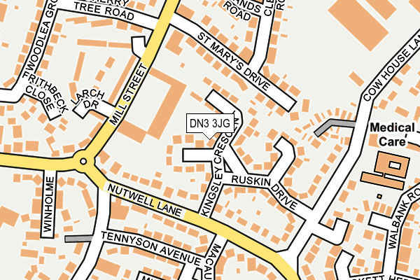 DN3 3JG map - OS OpenMap – Local (Ordnance Survey)