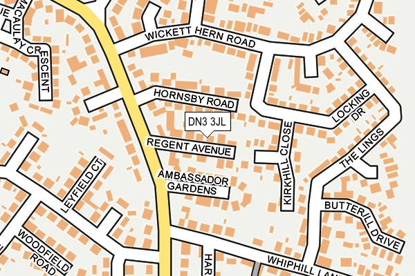 DN3 3JL map - OS OpenMap – Local (Ordnance Survey)
