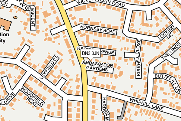 DN3 3JN map - OS OpenMap – Local (Ordnance Survey)