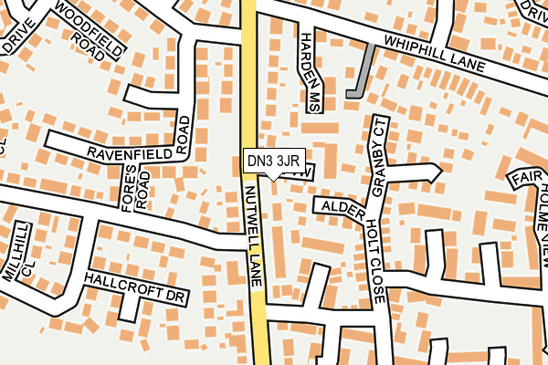 DN3 3JR map - OS OpenMap – Local (Ordnance Survey)