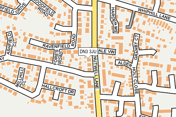 DN3 3JU map - OS OpenMap – Local (Ordnance Survey)