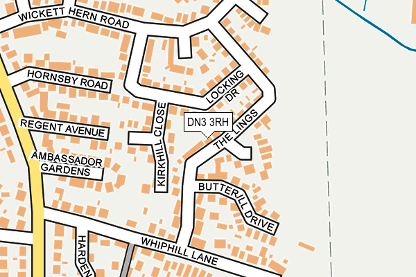 DN3 3RH map - OS OpenMap – Local (Ordnance Survey)