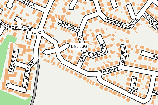 DN3 3SG map - OS OpenMap – Local (Ordnance Survey)