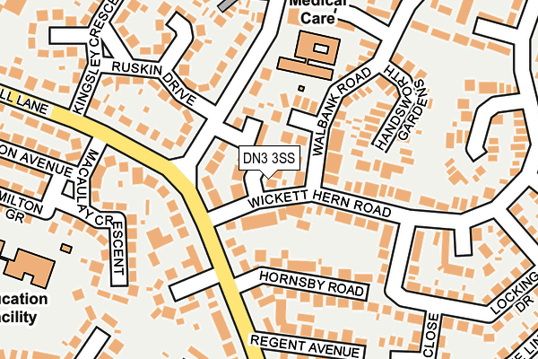 DN3 3SS map - OS OpenMap – Local (Ordnance Survey)