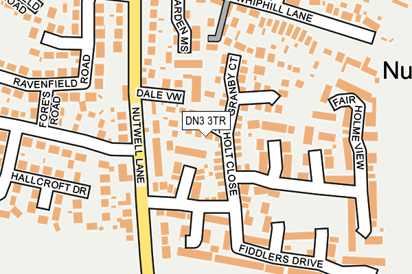 DN3 3TR map - OS OpenMap – Local (Ordnance Survey)
