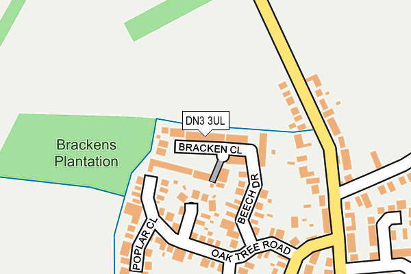 DN3 3UL map - OS OpenMap – Local (Ordnance Survey)