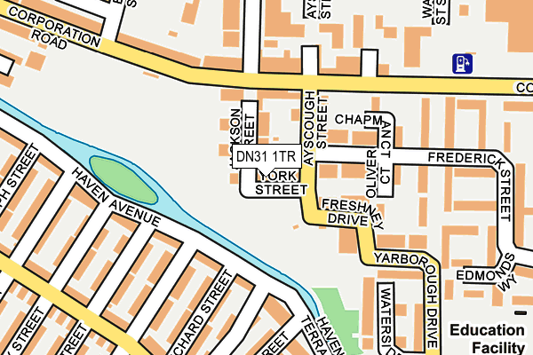 DN31 1TR map - OS OpenMap – Local (Ordnance Survey)