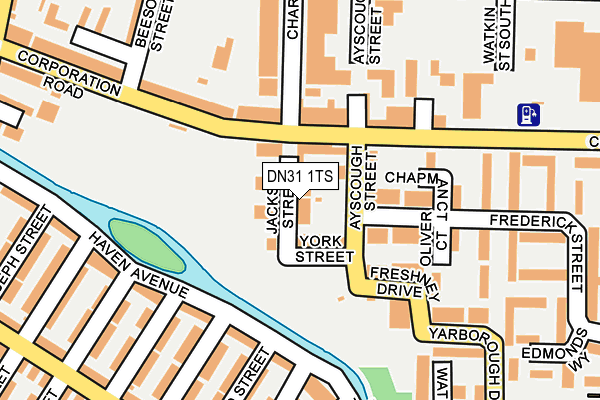 DN31 1TS map - OS OpenMap – Local (Ordnance Survey)