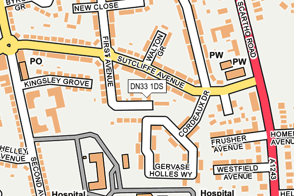 DN33 1DS map - OS OpenMap – Local (Ordnance Survey)