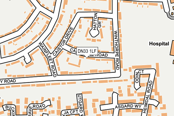 DN33 1LF map - OS OpenMap – Local (Ordnance Survey)