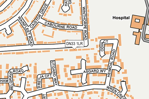 DN33 1LR map - OS OpenMap – Local (Ordnance Survey)