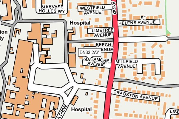 DN33 2AY map - OS OpenMap – Local (Ordnance Survey)