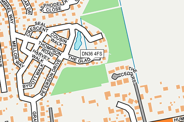 DN36 4FS map - OS OpenMap – Local (Ordnance Survey)