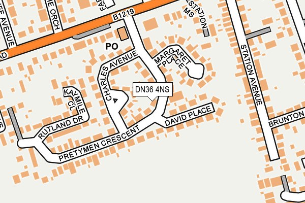 DN36 4NS map - OS OpenMap – Local (Ordnance Survey)