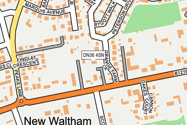 DN36 4SN map - OS OpenMap – Local (Ordnance Survey)