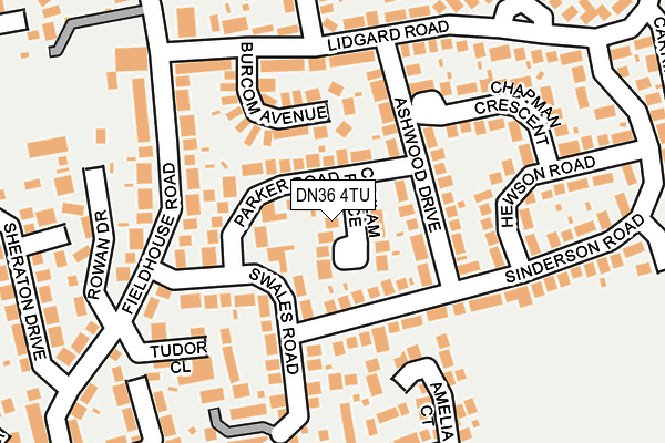 DN36 4TU map - OS OpenMap – Local (Ordnance Survey)