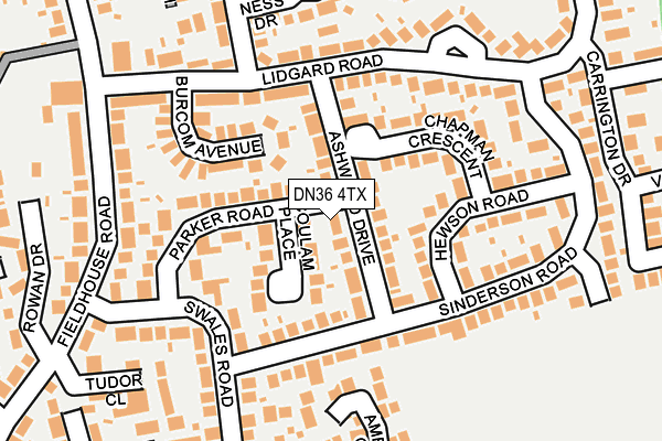 DN36 4TX map - OS OpenMap – Local (Ordnance Survey)