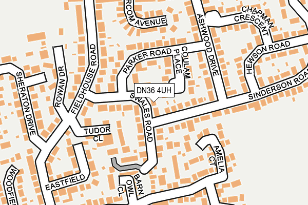 DN36 4UH map - OS OpenMap – Local (Ordnance Survey)