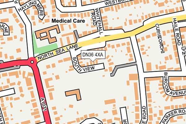 DN36 4XA map - OS OpenMap – Local (Ordnance Survey)