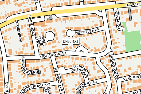 DN36 4XJ map - OS OpenMap – Local (Ordnance Survey)