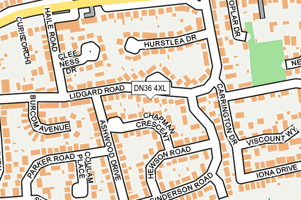 DN36 4XL map - OS OpenMap – Local (Ordnance Survey)