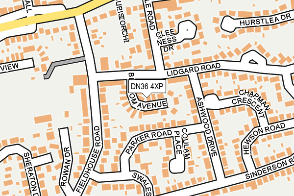 DN36 4XP map - OS OpenMap – Local (Ordnance Survey)