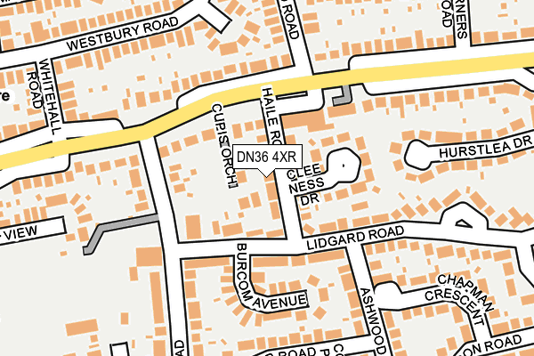 DN36 4XR map - OS OpenMap – Local (Ordnance Survey)