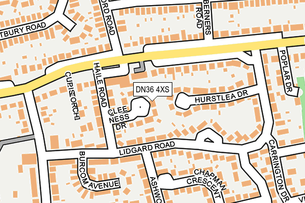 DN36 4XS map - OS OpenMap – Local (Ordnance Survey)