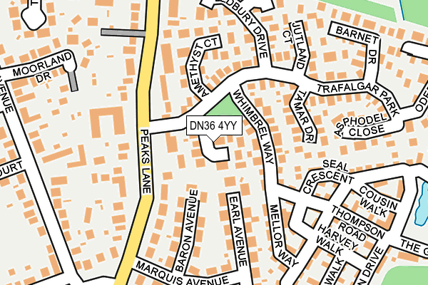 DN36 4YY map - OS OpenMap – Local (Ordnance Survey)