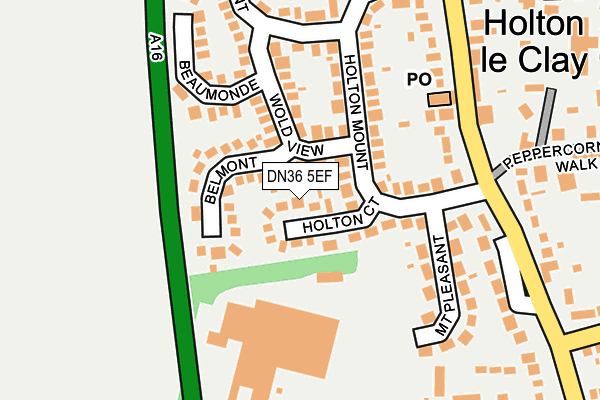 DN36 5EF map - OS OpenMap – Local (Ordnance Survey)