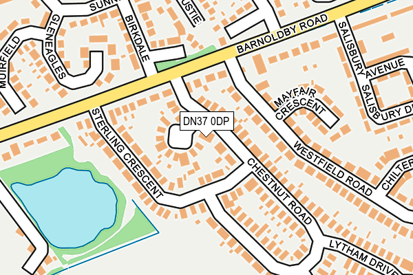 DN37 0DP map - OS OpenMap – Local (Ordnance Survey)