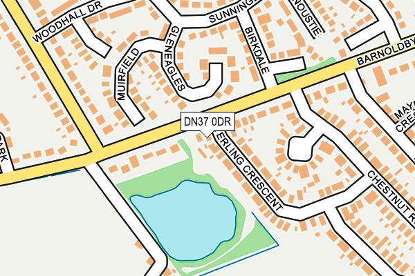 DN37 0DR map - OS OpenMap – Local (Ordnance Survey)