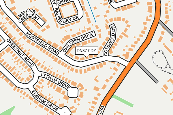 DN37 0DZ map - OS OpenMap – Local (Ordnance Survey)