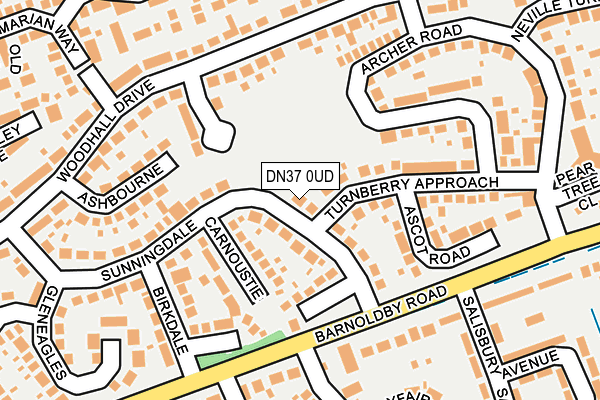DN37 0UD map - OS OpenMap – Local (Ordnance Survey)