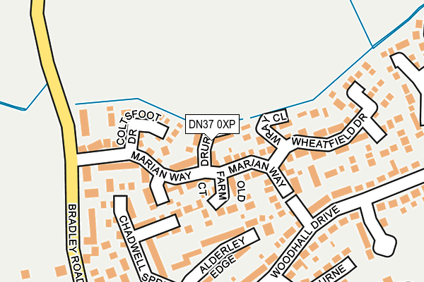 DN37 0XP map - OS OpenMap – Local (Ordnance Survey)