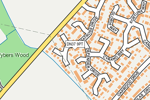 DN37 9PT map - OS OpenMap – Local (Ordnance Survey)