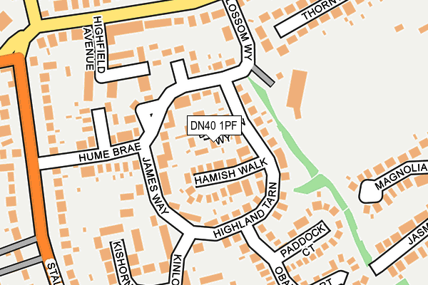 DN40 1PF map - OS OpenMap – Local (Ordnance Survey)