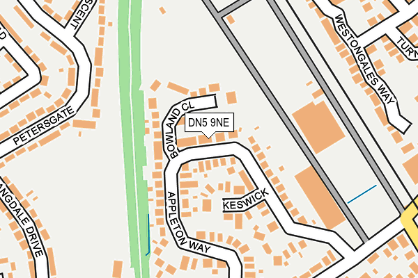DN5 9NE map - OS OpenMap – Local (Ordnance Survey)