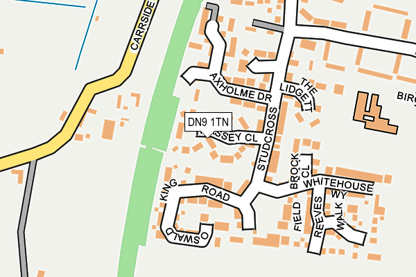 DN9 1TN map - OS OpenMap – Local (Ordnance Survey)