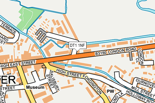DT1 1NF map - OS OpenMap – Local (Ordnance Survey)