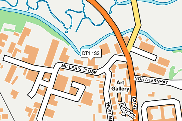 DT1 1SS map - OS OpenMap – Local (Ordnance Survey)