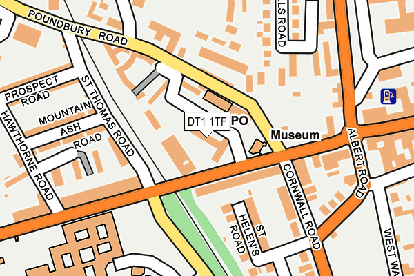 DT1 1TF map - OS OpenMap – Local (Ordnance Survey)
